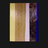 #10 Fall Suite, 2011
Painted Canvas Collage, 40 x 30 inches