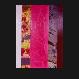#12 Fall Suite, 2011
Painted Canvas Collage, 40 x 30 inches