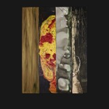 #1 Polish Suite, 2011
Painted Canvas Collage, 40 x 30 inches