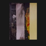 #3 Polish Suite, 2011
Painted Canvas Collage, 40 x 30 inches