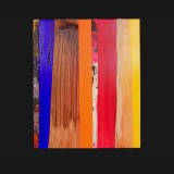 #2 Summer Suite, 2011
Painted Canvas Collage, 24 x 20 inches.
