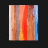 #8 Summer Suite, 2011
Painted Canvas Collage, 24 x 20 inches.